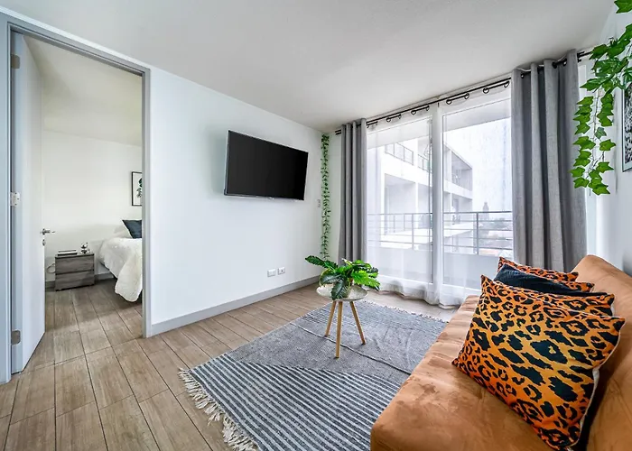 Comodo Apartamento Con Terraza En Santiago Centro